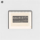 アートメモ帳-Undressing
 - エドワード マイブリッジ Memo.