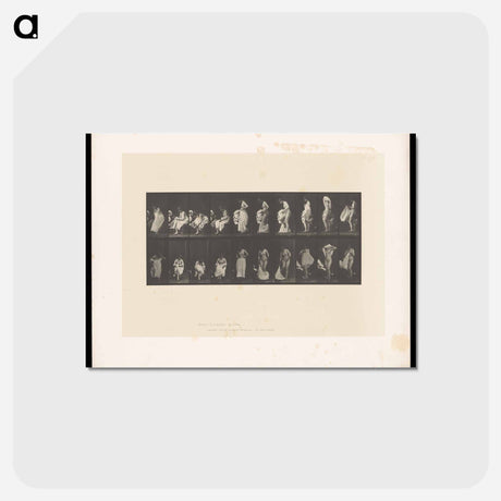アートポストカード-Undressing
 - エドワード マイブリッジ Postcard.