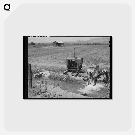 アートポストカード-Irrigation Pump at Solomonsville
 - ラッセル リー Postcard.