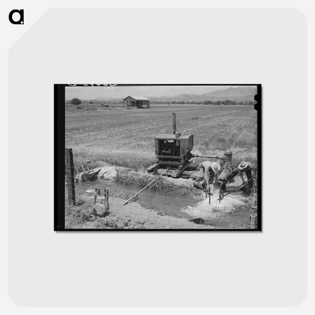 アートポストカード-Irrigation Pump at Solomonsville
 - ラッセル リー Postcard.