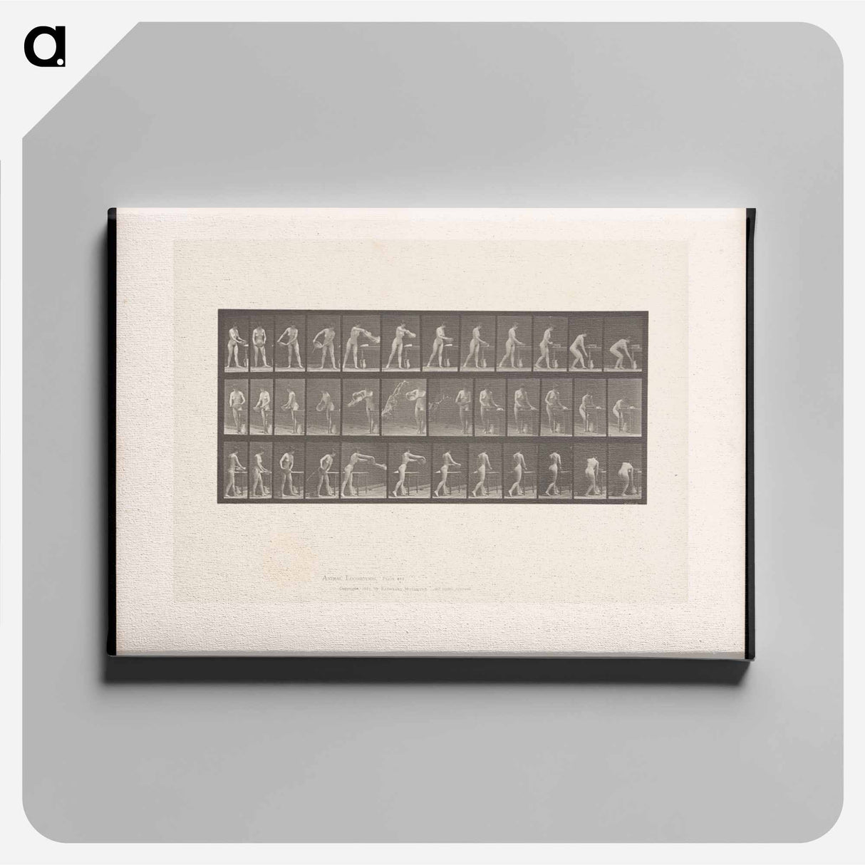 アートパネル-Woman with Water Bowl
 - エドワード マイブリッジ Canvas.