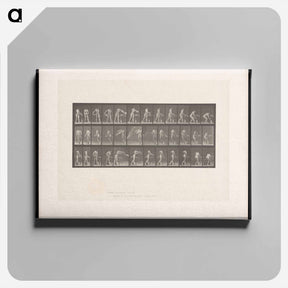 アートパネル-Woman with Water Bowl
 - エドワード マイブリッジ Canvas.