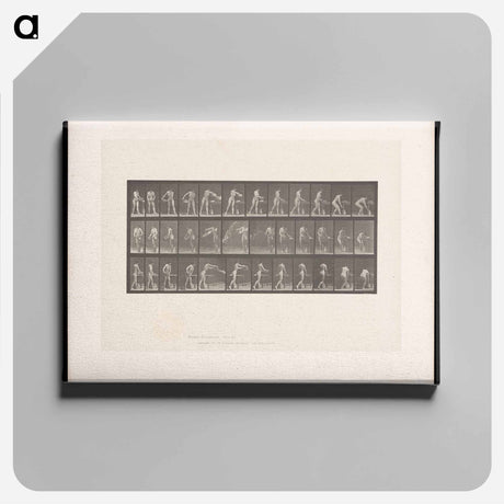 アートパネル-Woman with Water Bowl
 - エドワード マイブリッジ Canvas.