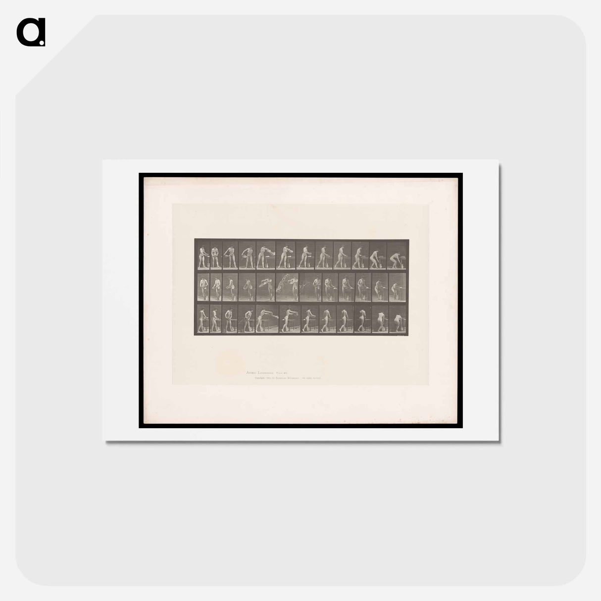 アートポストカード-Woman with Water Bowl
 - エドワード マイブリッジ Postcard.