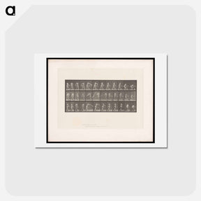 アートポストカード-Woman with Water Bowl
 - エドワード マイブリッジ Postcard.