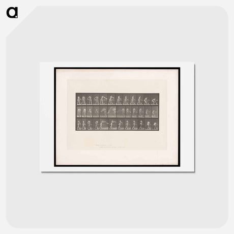 アートポストカード-Woman with Water Bowl
 - エドワード マイブリッジ Postcard.