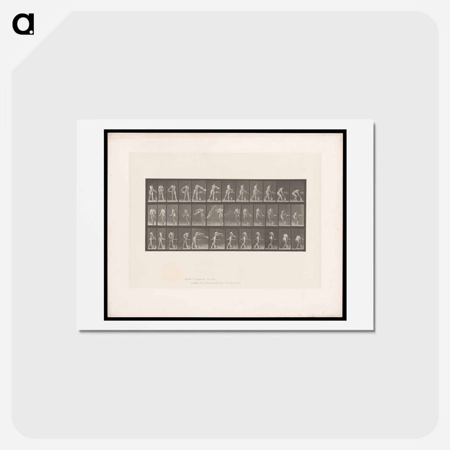 アートポストカード-Woman with Water Bowl
 - エドワード マイブリッジ Postcard.