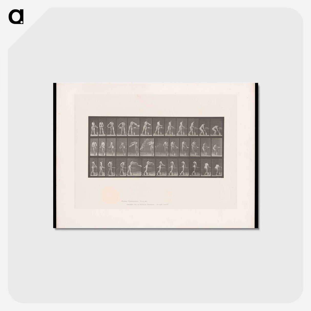 アートポストカード-Woman with Water Bowl
 - エドワード マイブリッジ Postcard.