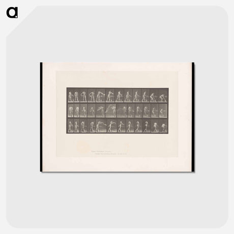 アートポストカード-Woman with Water Bowl
 - エドワード マイブリッジ Postcard.