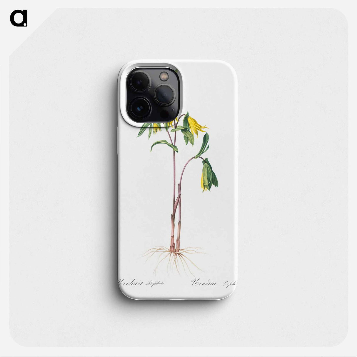 Uvularia perfoliata illustration from Les liliacées - ピエール ジョゼフ ルドゥーテ Phone Case.