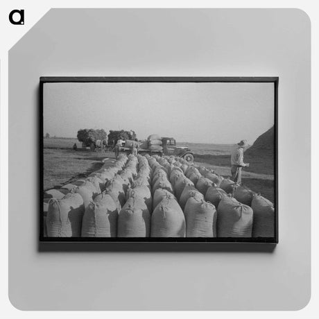アートパネル-Turkeys in Pen
 - ラッセル リー Canvas.