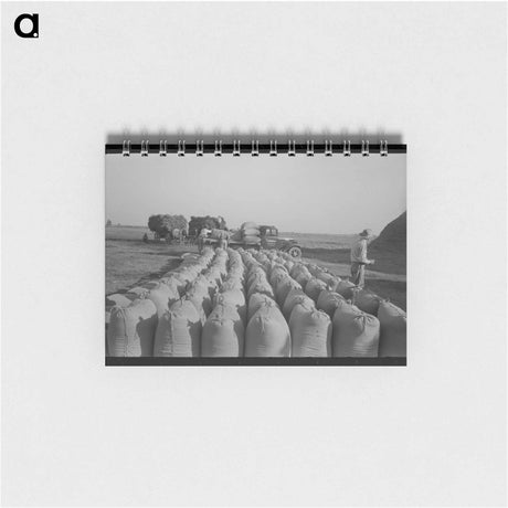 アートメモ帳-Turkeys in Pen
 - ラッセル リー Memo.