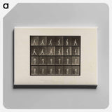アートパネル-Naked Woman Walking
 - エドワード マイブリッジ Canvas.