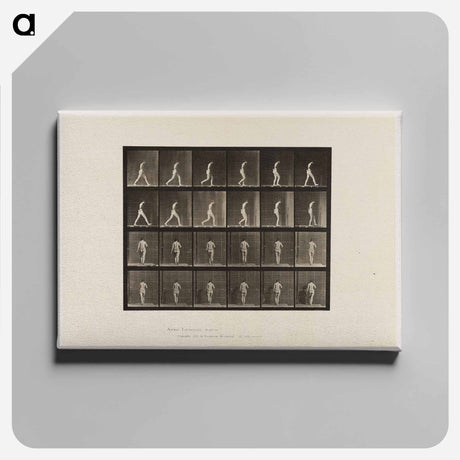 アートパネル-Naked Woman Walking
 - エドワード マイブリッジ Canvas.