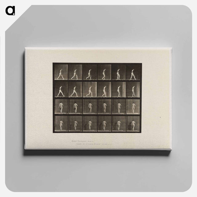 アートパネル-Naked Woman Walking
 - エドワード マイブリッジ Canvas.