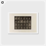 アートポストカード-Naked Woman Walking
 - エドワード マイブリッジ Postcard.