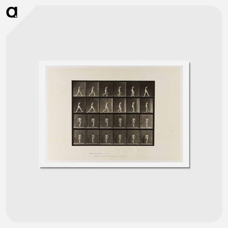 アートポストカード-Naked Woman Walking
 - エドワード マイブリッジ Postcard.