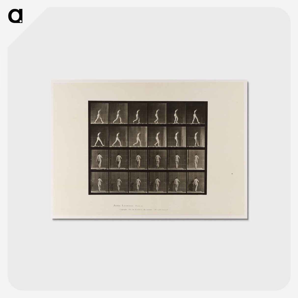 アートポストカード-Naked Woman Walking
 - エドワード マイブリッジ Postcard.