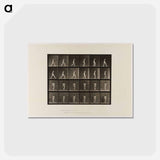 アートポストカード-Naked Woman Walking
 - エドワード マイブリッジ Postcard.
