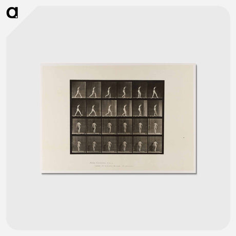 アートポストカード-Naked Woman Walking
 - エドワード マイブリッジ Postcard.