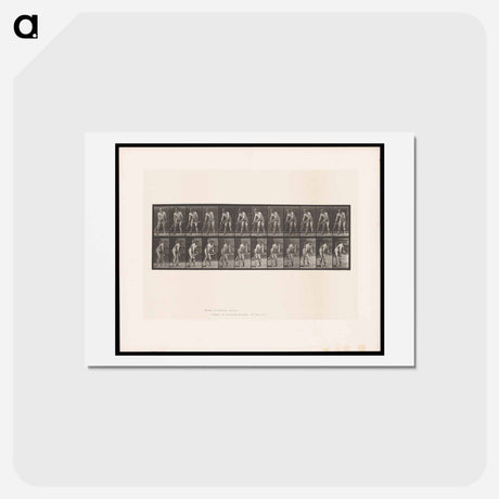 アートポストカード-The Scythe
 - エドワード マイブリッジ Postcard.