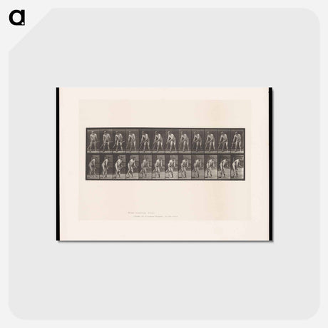 アートポストカード-The Scythe
 - エドワード マイブリッジ Postcard.