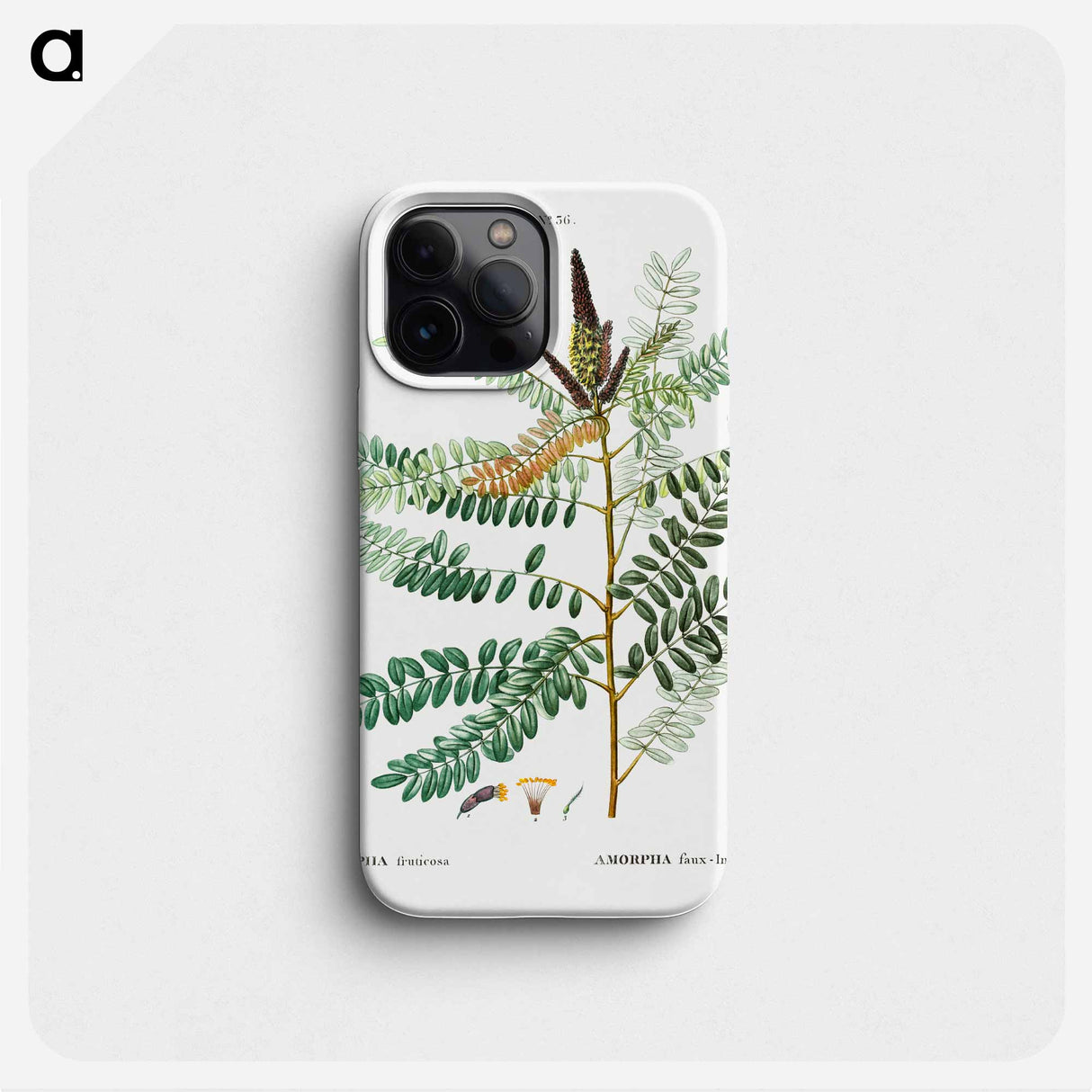 False indigo bush - ピエール ジョゼフ ルドゥーテ Phone Case.