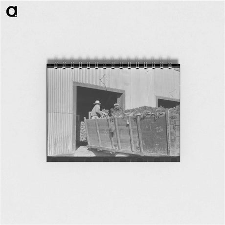 アートメモ帳-Anaconda Wire and Cable Company
 - ラッセル リー Memo.