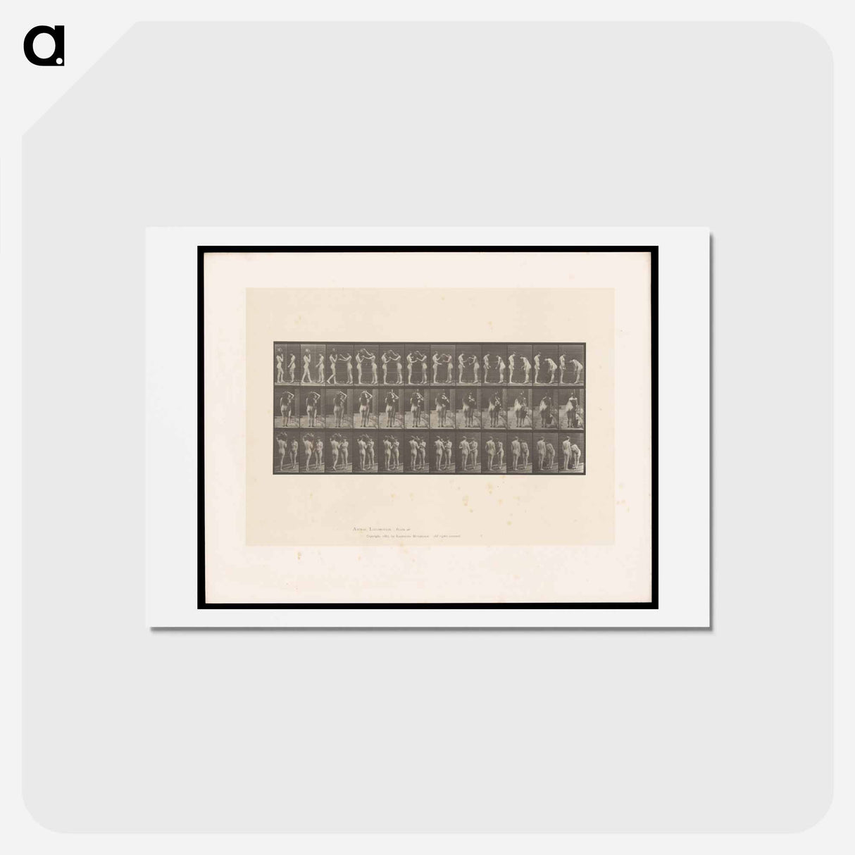 アートポストカード-The Water Carriers
 - エドワード マイブリッジ Postcard.