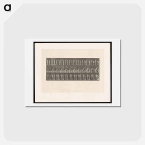 アートポストカード-The Water Carriers
 - エドワード マイブリッジ Postcard.
