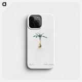 Scilla lingulata illustration from Les liliacées - ピエール ジョゼフ ルドゥーテ Phone Case.