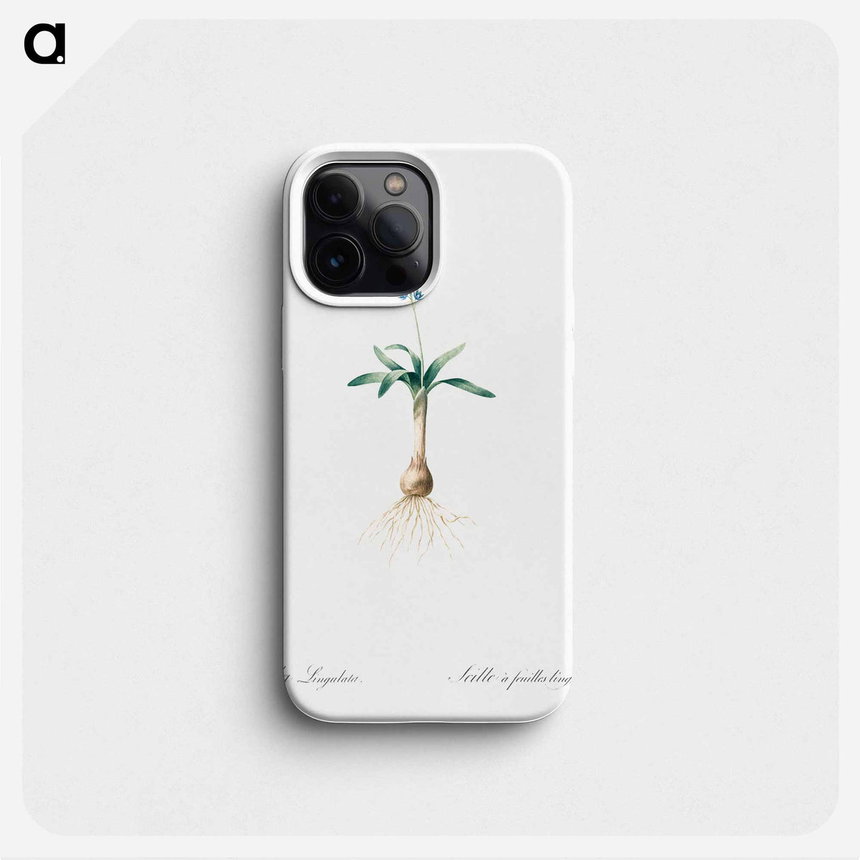 Scilla lingulata illustration from Les liliacées - Pierre-Joseph Redouté Phone Case.