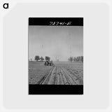 アートポストカード-Planting Peanuts
 - ラッセル リー Postcard.