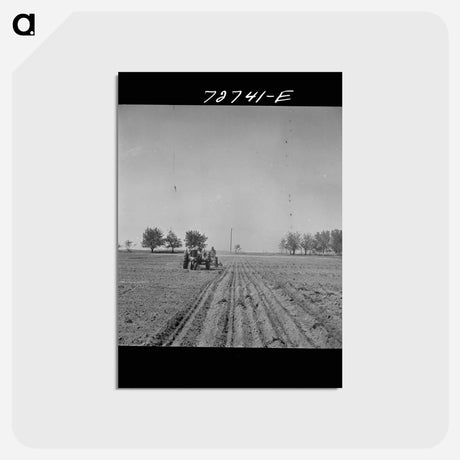 アートポストカード-Planting Peanuts
 - ラッセル リー Postcard.
