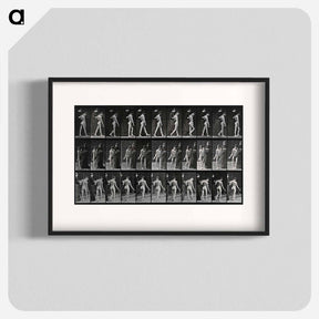 アートポスター-Collotype of a Girl with Nurse
 - エドワード マイブリッジ Poster.