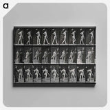 アートパネル-Collotype of a Girl with Nurse
 - エドワード マイブリッジ Canvas.