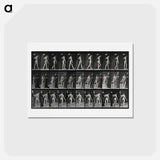 アートポストカード-Collotype of a Girl with Nurse
 - エドワード マイブリッジ Postcard.