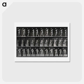 アートポストカード-Collotype of a Girl with Nurse
 - エドワード マイブリッジ Postcard.