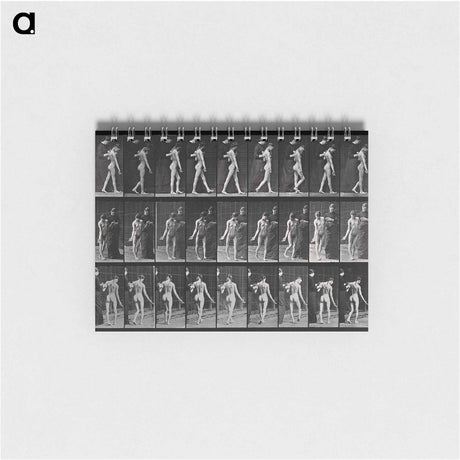 アートメモ帳-Collotype of a Girl with Nurse
 - エドワード マイブリッジ Memo.