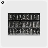 アートポストカード-Collotype of a Girl with Nurse
 - エドワード マイブリッジ Postcard.