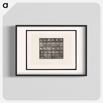 Leaping Figure
 - エドワード マイブリッジ Poster.