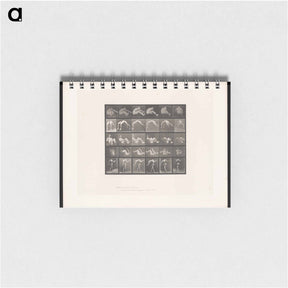 アートメモ帳-Leaping Figure
 - エドワード マイブリッジ Memo.
