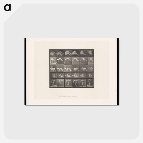 アートポストカード-Leaping Figure
 - エドワード マイブリッジ Postcard.