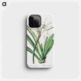 Caribbean spider-lily illustration - ピエール ジョゼフ ルドゥーテ Phone Case.