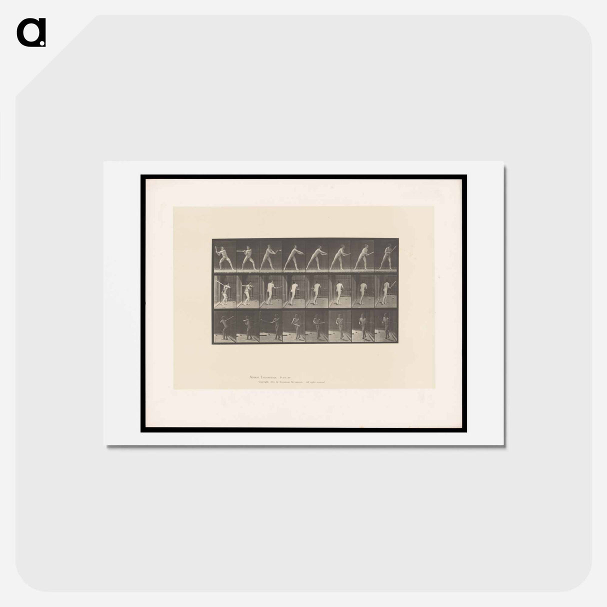 アートポストカード-Batter Up
 - エドワード マイブリッジ Postcard.