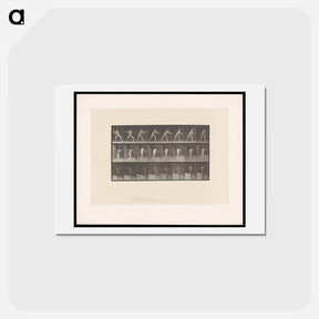 アートポストカード-Batter Up
 - エドワード マイブリッジ Postcard.
