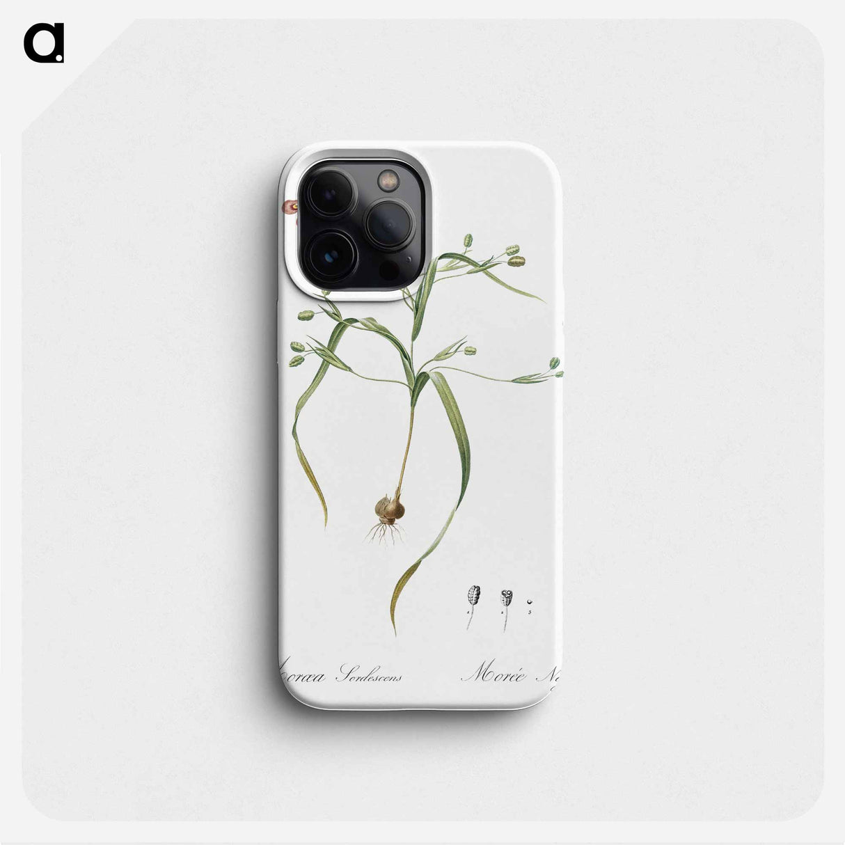 Moraea sordescens - Pierre Joseph Redouté Phone Case.