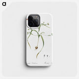 Moraea sordescens - Pierre Joseph Redouté Phone Case.