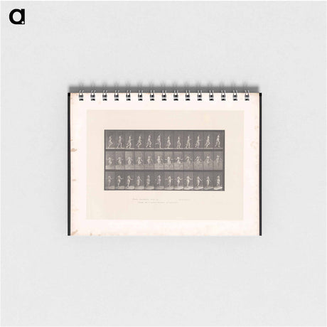 アートメモ帳-Skipping Woman
 - エドワード マイブリッジ Memo.