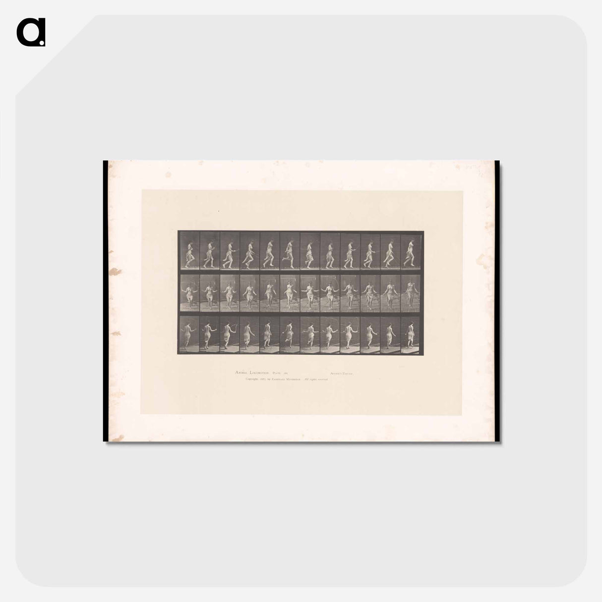 アートポストカード-Skipping Woman
 - エドワード マイブリッジ Postcard.